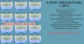 AUTISTIC LIBERATION SKILL CARDS